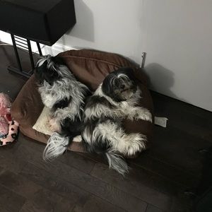 Meet your Posher, Debbie